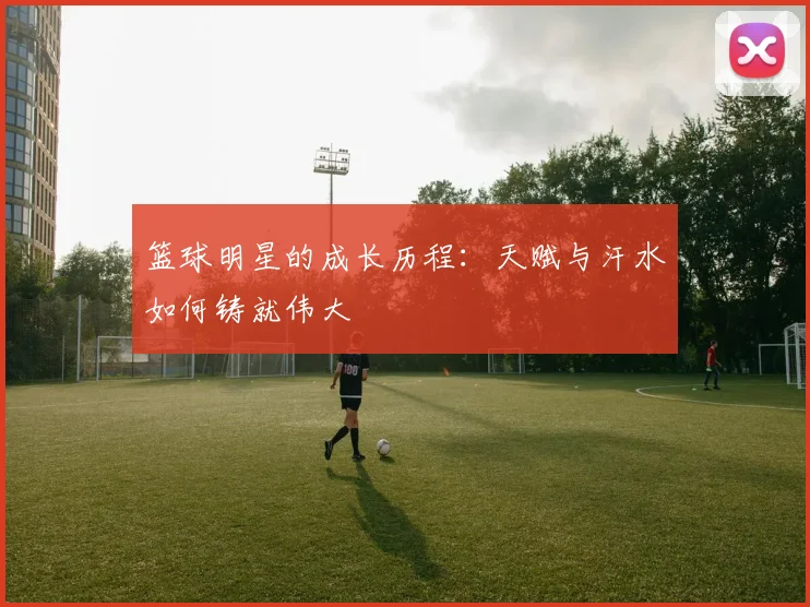 篮球明星的成长历程：天赋与汗水如何铸就伟大